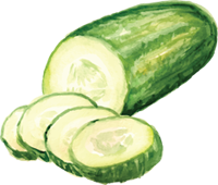 Cucumber